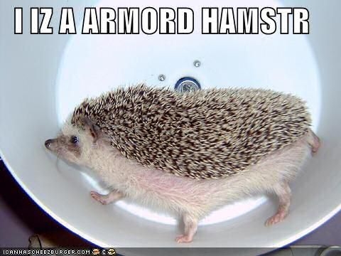 A wonderfull entry on Icanhascheezburger.com