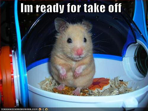 A wonderfull entry on Icanhascheezburger.com