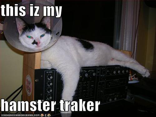 A wonderfull entry on Icanhascheezburger.com