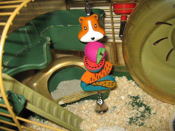 A X-Mas gift for Lucy by Katie & Steve, Colleen & the Todd!