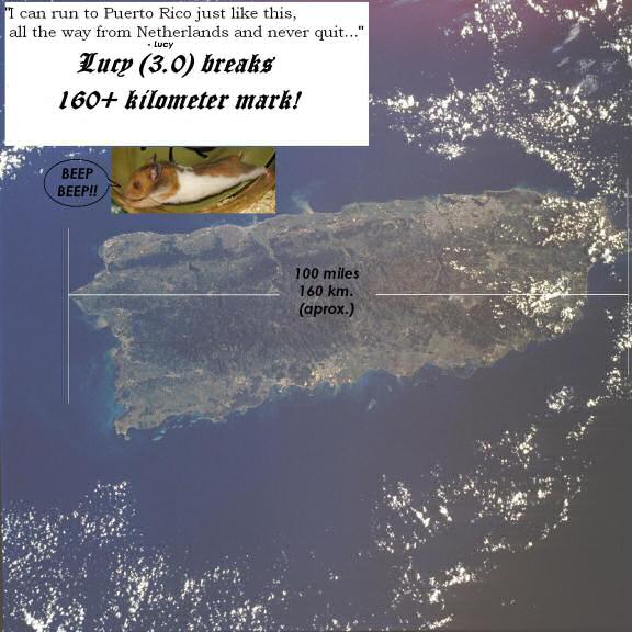 My hamster Lucy (3.0) ran the same distance as Puerto Rico is wide.