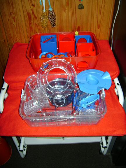 My hamster Lucy's roborovski-god-kids, Jamy and July.