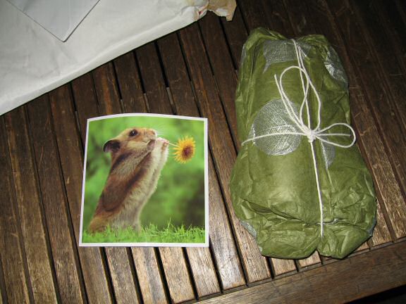 A package by Sophie for my hamster Lucy.