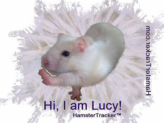 HamsterTracker.com design by Virginia.